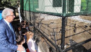 ÖDEMİŞ'TE SEVİMLİ DOSTALAR İÇİN YOĞUN MESAİ