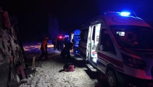Yolcu otobüsü devrildi, 6 kişi yaralandı