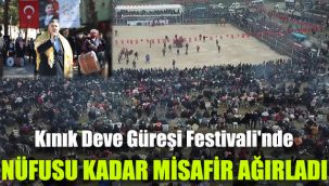 Kınık Deve Güreşi Festivali'nde nüfusu kadar misafir ağırladı