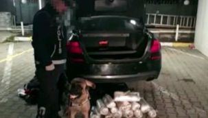 Piyasa değeri 1 milyon TL'nin üzerindeydi Sakarya'da ele geçirildi