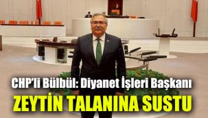 CHP’li Bülbül: Diyanet İşleri Başkanı zeytin talanına sustu