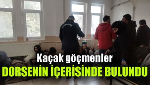 Kaçak göçmenler, dorsenin içerisinde yakalandı