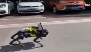 Şanghay'da sokaklarda dolaşan robot köpek gündem oldu