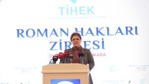 Aile ve Sosyal Hizmetler Bakanı Derya Yanık, Roman Hakları Zirvesi'ne katıldı