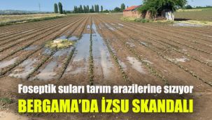 Bergama'da İZSU Skandalı: Foseptik suları tarım arazilerine sızıyor