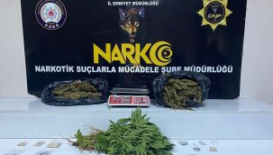 Gaziantep'te 3 kilo esrar ile 41 kök kenevir ele geçirildi