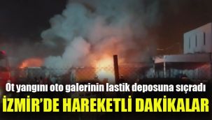 İzmir’de hareketli dakikalar: Ot yangını oto galerinin lastik deposuna sıçradı