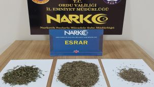 Ordu'da uyuşturucu operasyonunda 12 şüpheli gözaltına alındı