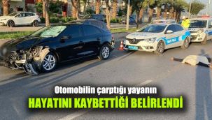 Otomobilin çarptığı yayanın hayatını kaybetti belirlendi