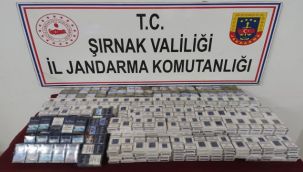 Şırnak'ta terörün finans kaynaklarına operasyon