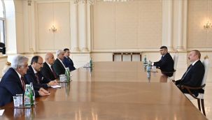 Tarım ve Orman Bakanı Kirişci, Aliyev tarafından kabul edildi