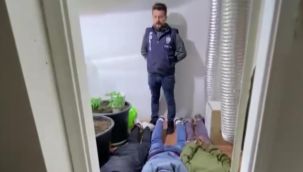 Uyuşturucu yetiştirmek için böbreğini sattığı tespit edilen şahıs ve ekibi yakalandı