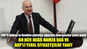 CHP’li Bakan’ın “kesilen palmiye ağaçları” önergesine yanıt geldi: "Bu bize değil, Hamza Dağ ve AKP’li yerel siyasetçilere yanıt"
