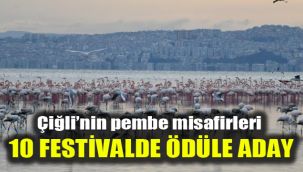 Çiğli’nin pembe misafirleri 10 festivalde ödüle aday