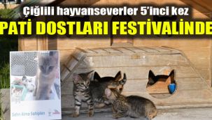 Çiğlili hayvanseverler 5'inci kez Pati Dostları Festivalinde