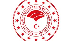 Hazine ve Maliye Bakanlığı'ndan BDDK kararı ile ilgili açıklama