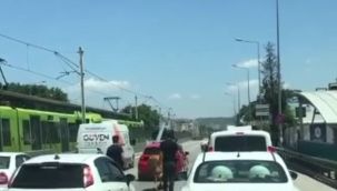 Kaçan boğalar trafiği kilitledi