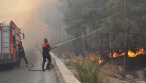 Korkutan yangın