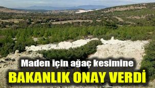 Maden için ağaç kesimine Bakanlık'tan onay