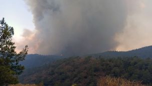 Marmaris'teki orman yangını yönünü Okluk Koyu'na çevirdi