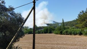 Muğla'da bir ilçede daha orman yangını