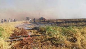 Şanlıurfa'da 80 dönüm buğday tarlası yandı