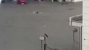 Sel sularından yüzerek kaçtı