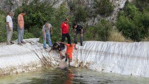 Sulama havuzuna giren çocuk boğuldu