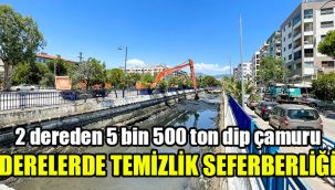 2 dereden 5 bin 500 ton dip çamuru: Derelerde temizlik seferberliği