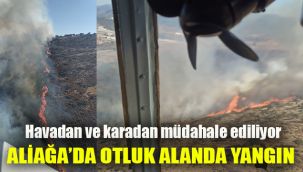 Aliağa'da otluk alanda yangın: Havadan ve karadan müdahale ediliyor