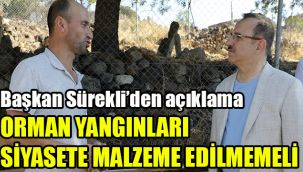 Başkan Sürekli'den açıklama: Orman yangınları siyasete malzeme edilmemeli