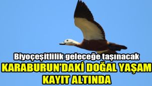 Biyoçeşitlilik geleceğe taşınacak: Karaburun’daki doğal yaşam kayıt altında