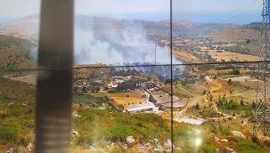 Çeşme’de makilik alanda yangın