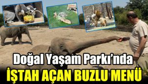 Doğal Yaşam Parkı’nda iştah açan buzlu menü