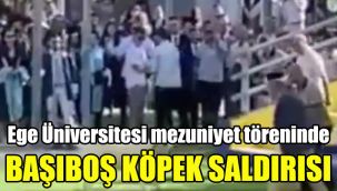 Ege Üniversitesi mezuniyet töreninde başıboş köpek saldırısı