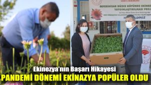Ekinezya’nın Başarı Hikayesi: Pandemi dönemi ekinazyan popüler oldu
