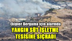Ekipler Bergama için alarmda: Yangın süt işletme tesisine sıçradı