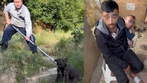 İstanbul'da pitbullu torbacıya baskın