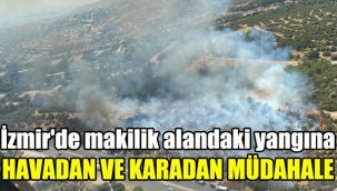 İzmir'de makilik alandaki yangına havadan ve karadan müdahale