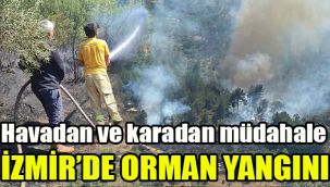İzmir'de orman yangını: Havadan ve karadan müdahale