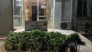 İzmir’de uyuşturucu operasyonları