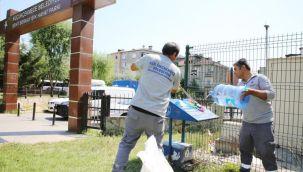 Küçükçekmece'de hayvan dostu belediyecilik