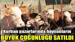 Kurban pazarlarında hayvanların büyük çoğunluğu satıldı