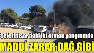 Seferihisar’daki iki orman yangınında maddi zarar dağ gibi
