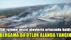 Süt işleme tesisi alevlerin ortasında kaldı: Bergama'da otluk alanda yangın