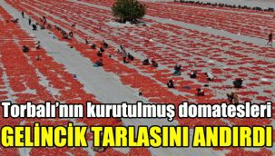 Torbalı'nın kurutulmuş domatesleri, gelincik tarlasını andırdı