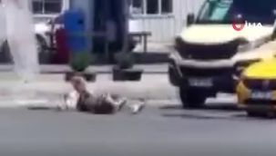 Trafik ışıklarında kendini yere attı