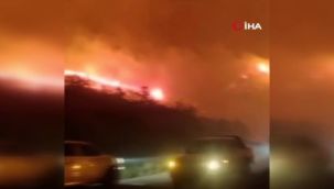 Azerbaycan'da farklı noktalarda orman yangını