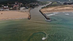 Beykoz'da Riva sahili çamura bulandı
