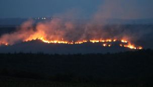 Bulgaristan'daki yangın Edirne'nin sınır köylerine dayandı